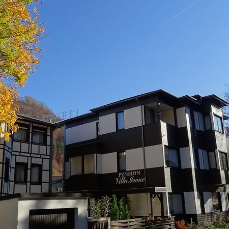 Pension Villa Irene บัดฮาร์ซบวร์ก ภายนอก รูปภาพ